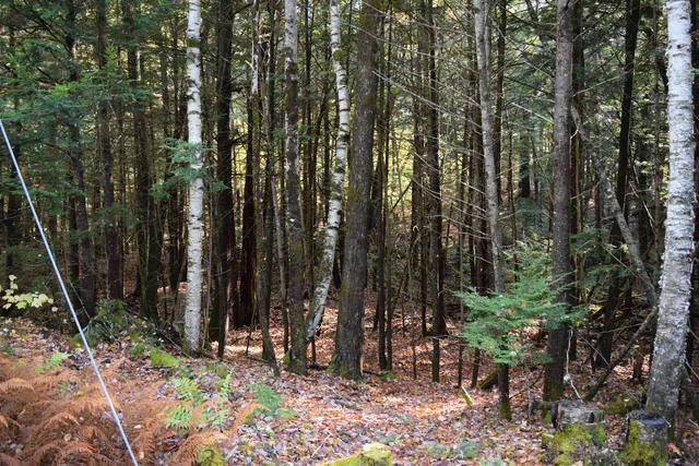 $17,500 | Lot 185 Hanover Drive, Unit 185, Woodsville, NH 03785