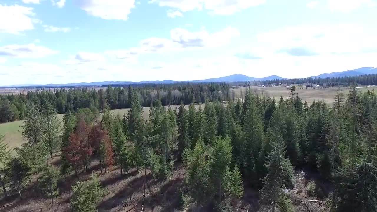 8411 West Valley Road Clayton, WA 99110 - Photo 20 of 20