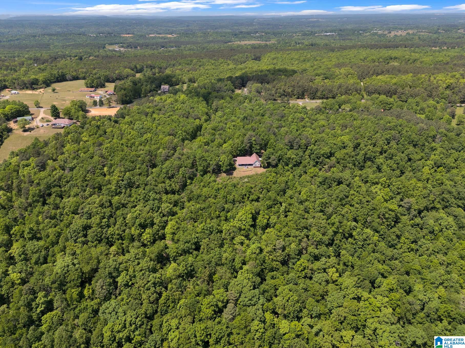 7076 Co Highway 24 Springville, AL 35146 - Photo 48 of 60