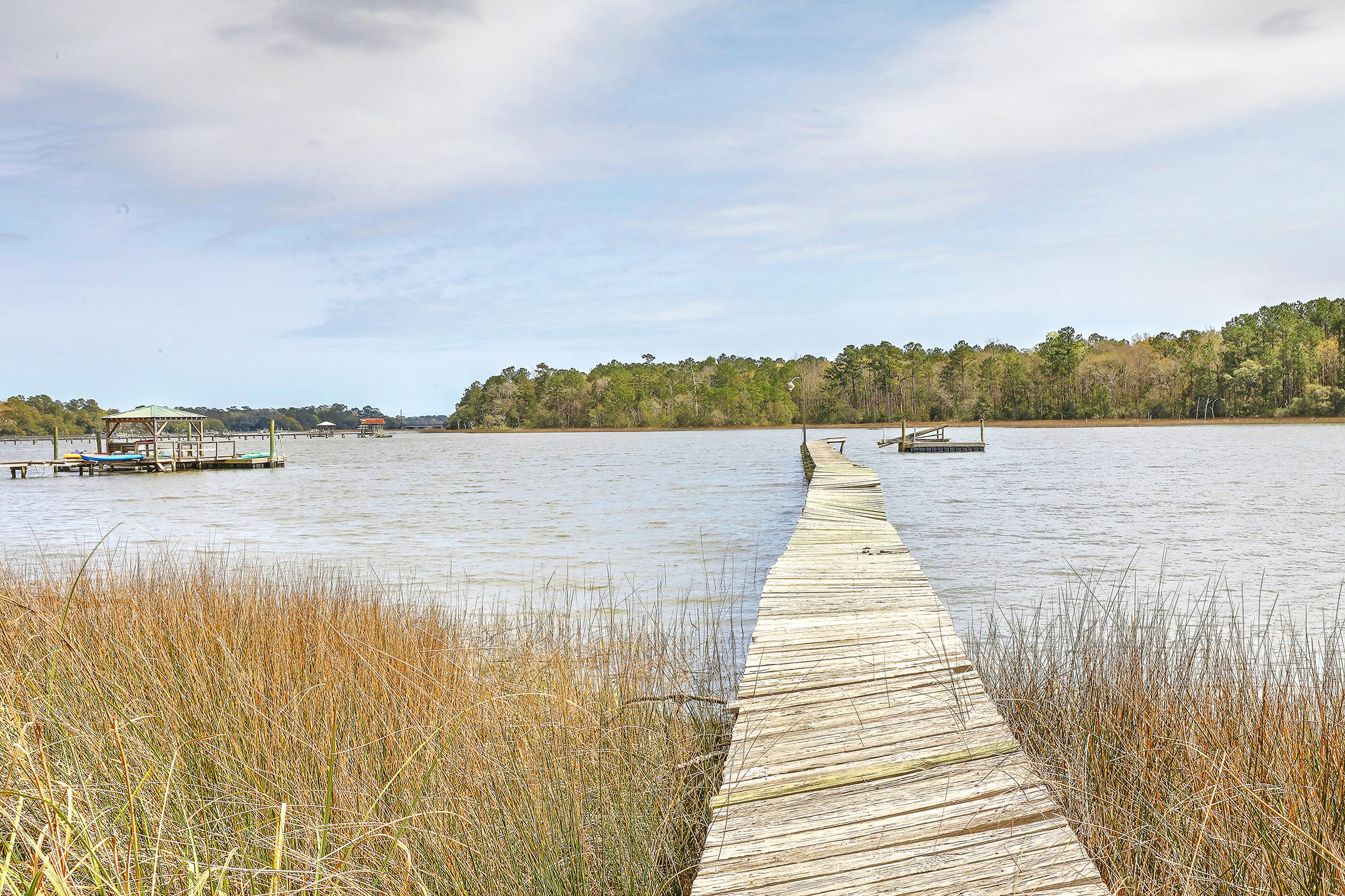 6072 Overlook Road Johns Island, SC 29455 - Photo 28 of 30 1R3A6168_69_70