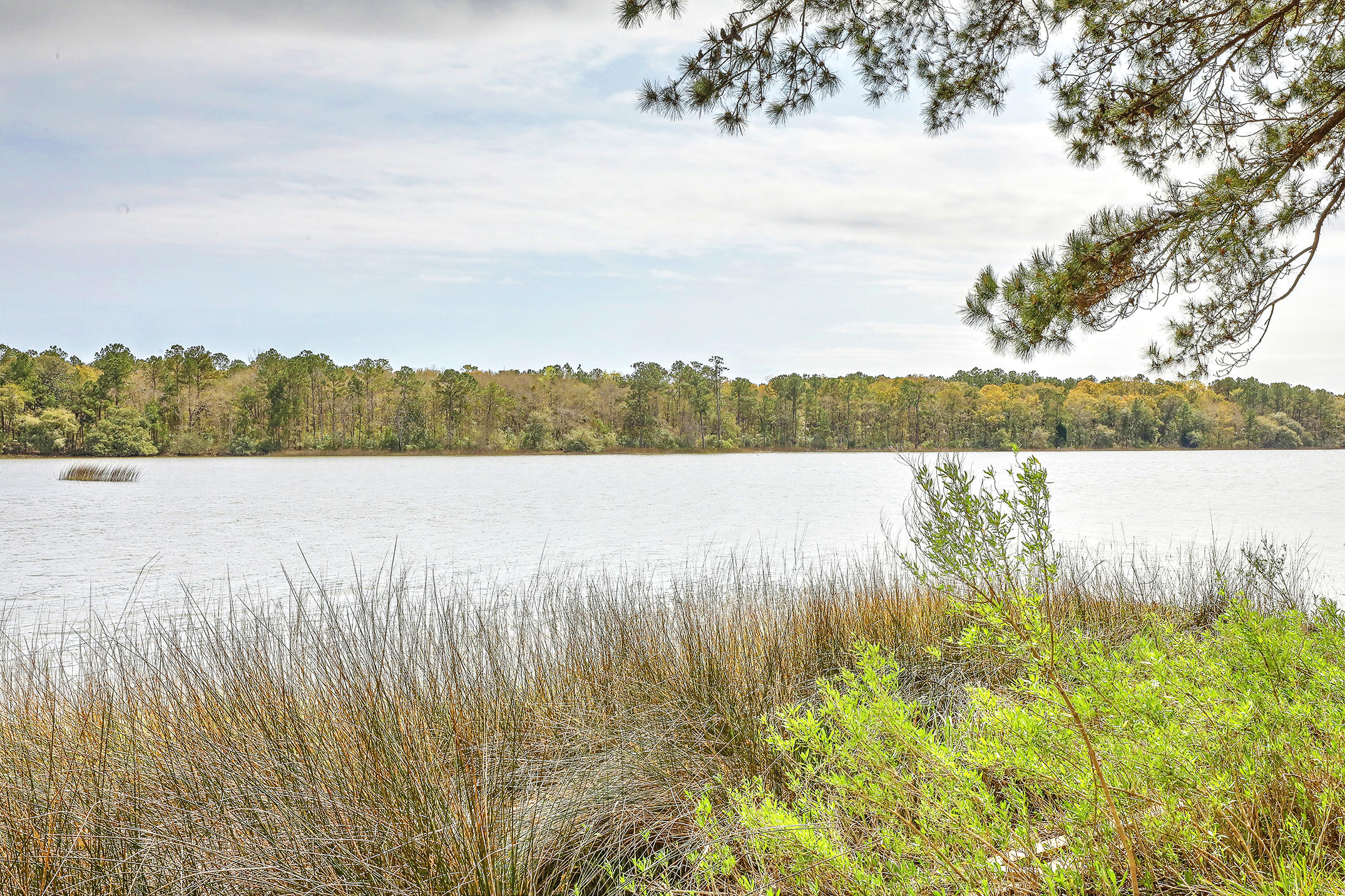 6072 Overlook Road Johns Island, SC 29455 - Photo 30 of 30 1R3A6165_6_7