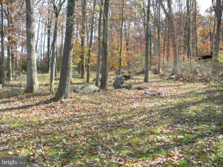 103 Hendricks Road Perkiomenville, PA 18074 - Photo 11 of 13 Gallery Image 11