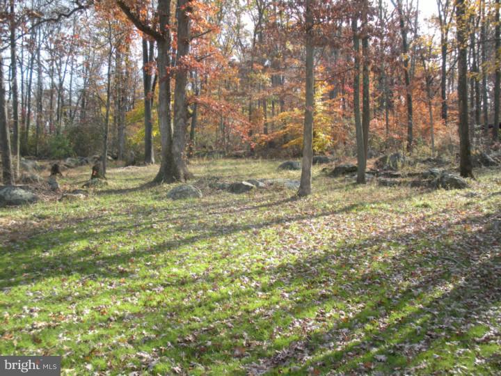 103 Hendricks Road Perkiomenville, PA 18074 - Photo 12 of 13 Gallery Image 12