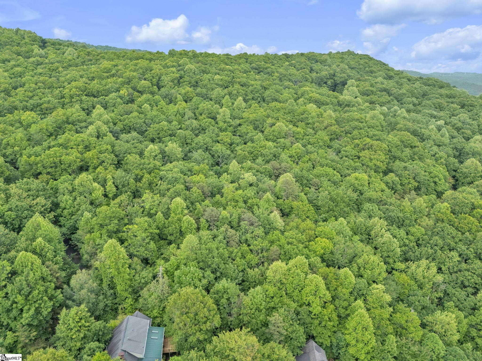 113 Columbine Way Cleveland, SC 29635 - Photo 15 of 25