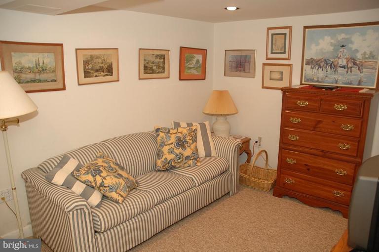 4530 Rosedale Avenue Bethesda, MD 20814 - Photo 20 of 22 Recreation Room