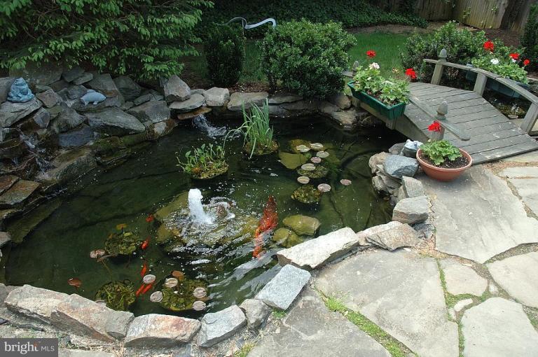 4530 Rosedale Avenue Bethesda, MD 20814 - Photo 10 of 22 Water Garden 1