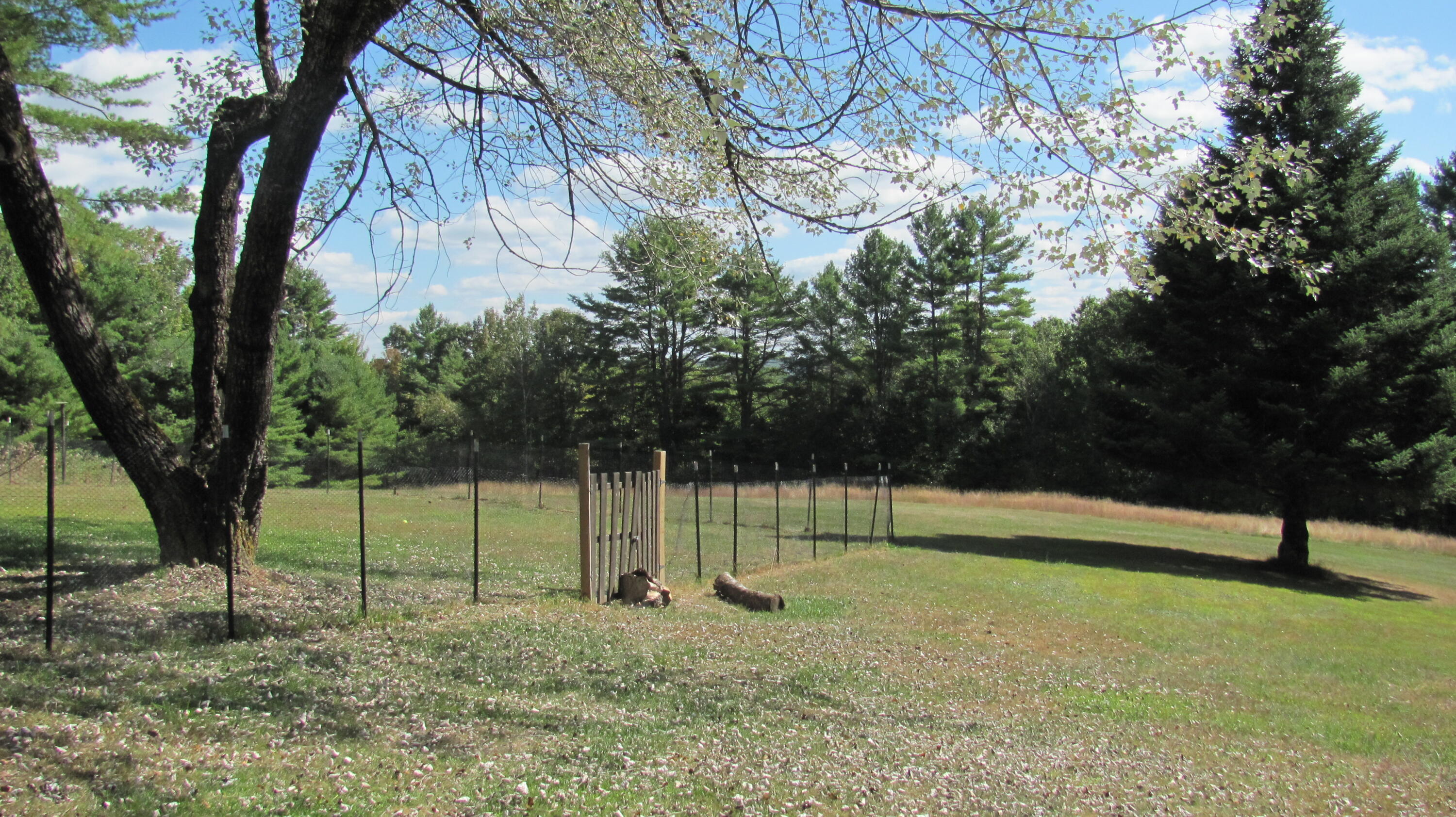 23 Mefford Lane Paris, ME 04281 - Photo 28 of 42 IMG_0680