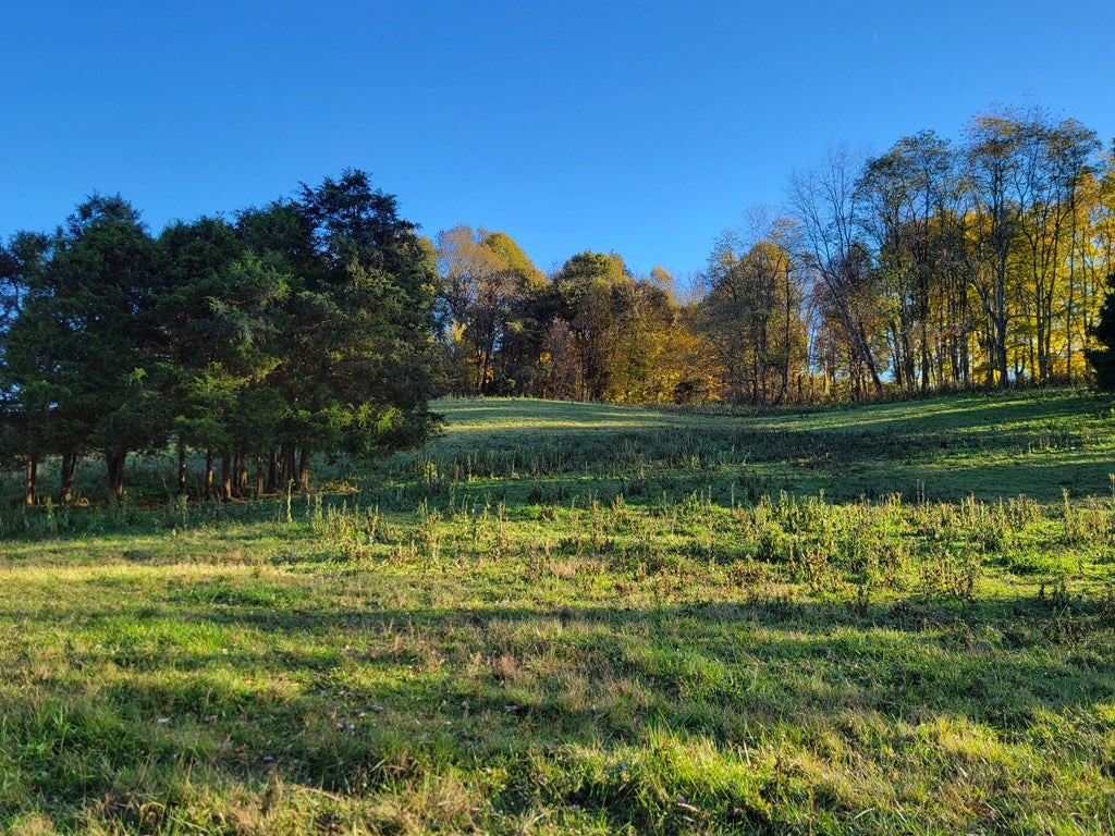 Tbd Reedy Creek Road Bristol, VA 24202 - Photo 20 of 28 Gallery Image 20