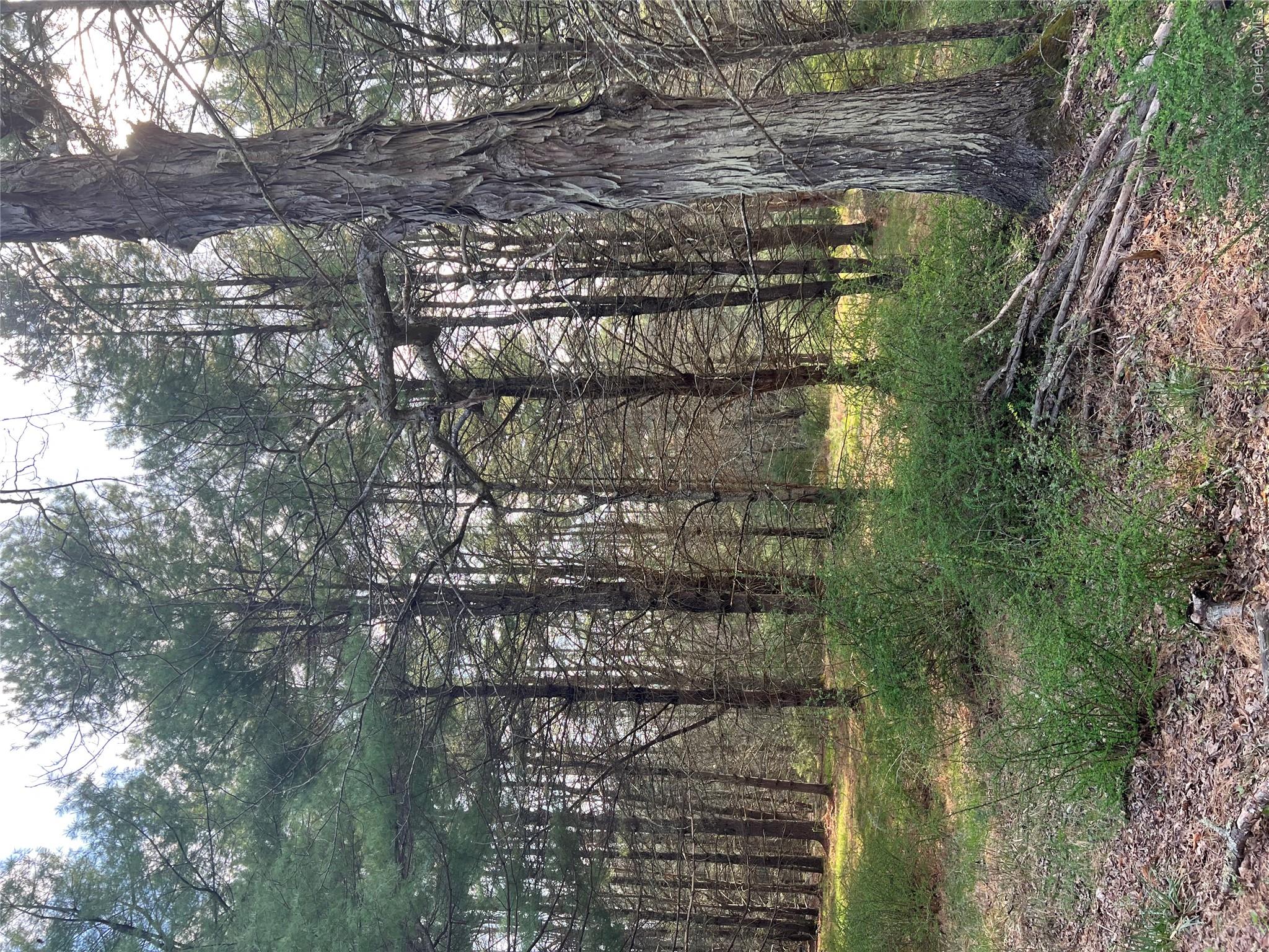 0 Upper Pine Kill Road Wurtsboro, NY 12790 - Photo 2 of 7