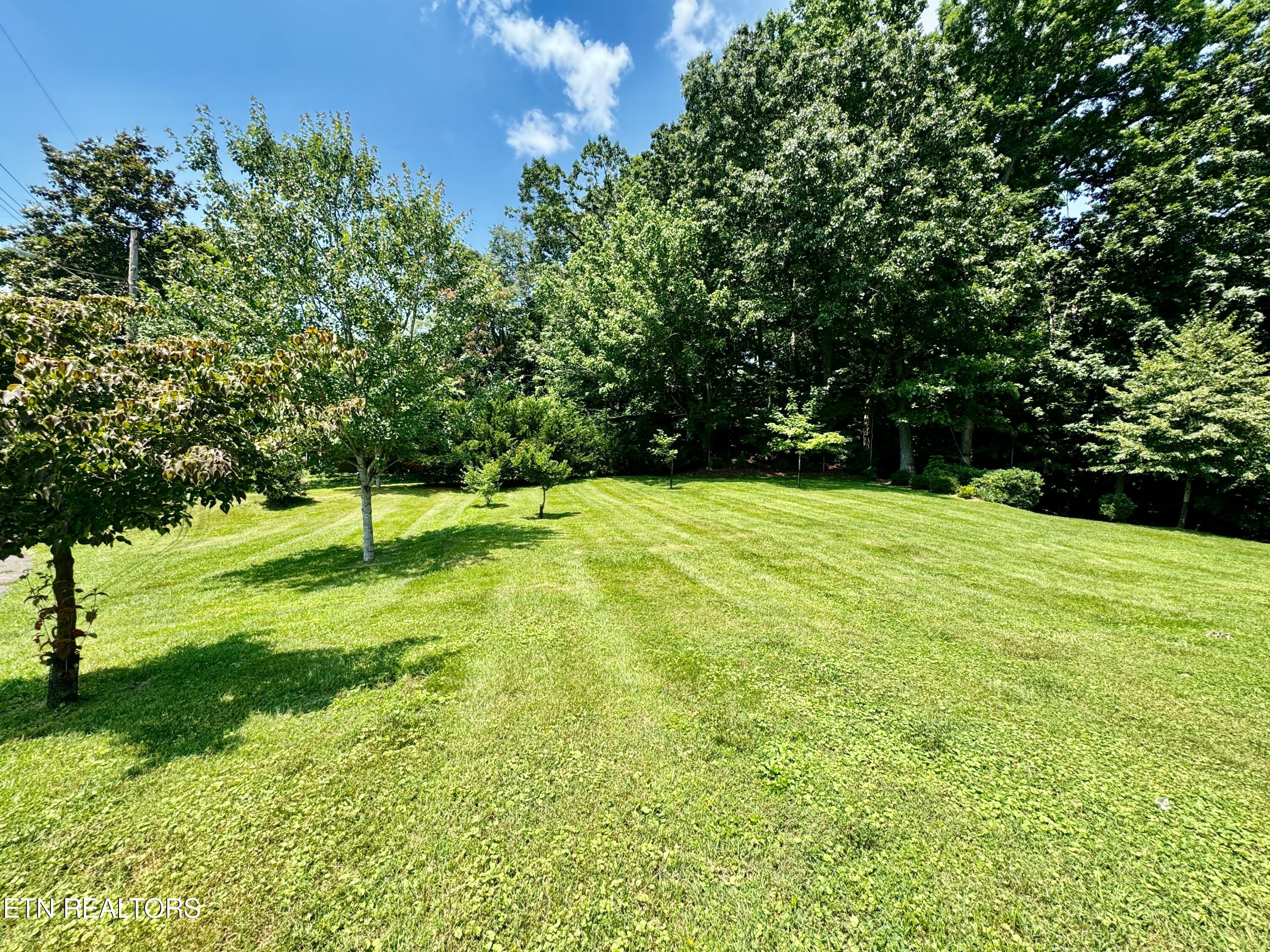 100 Olney Lane Oak Ridge, TN 37830 - Photo 12 of 48 12