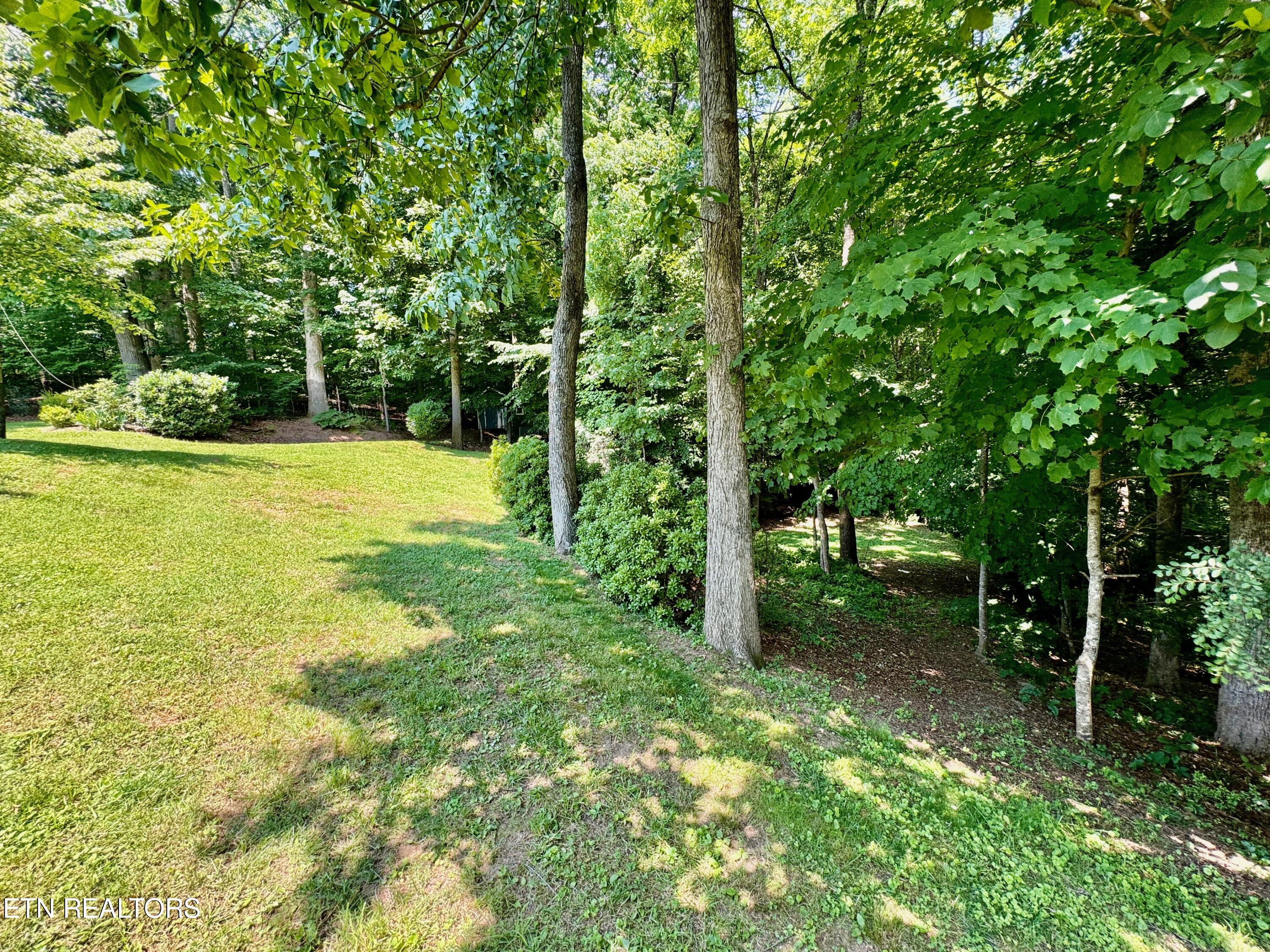 100 Olney Lane Oak Ridge, TN 37830 - Photo 14 of 48 14