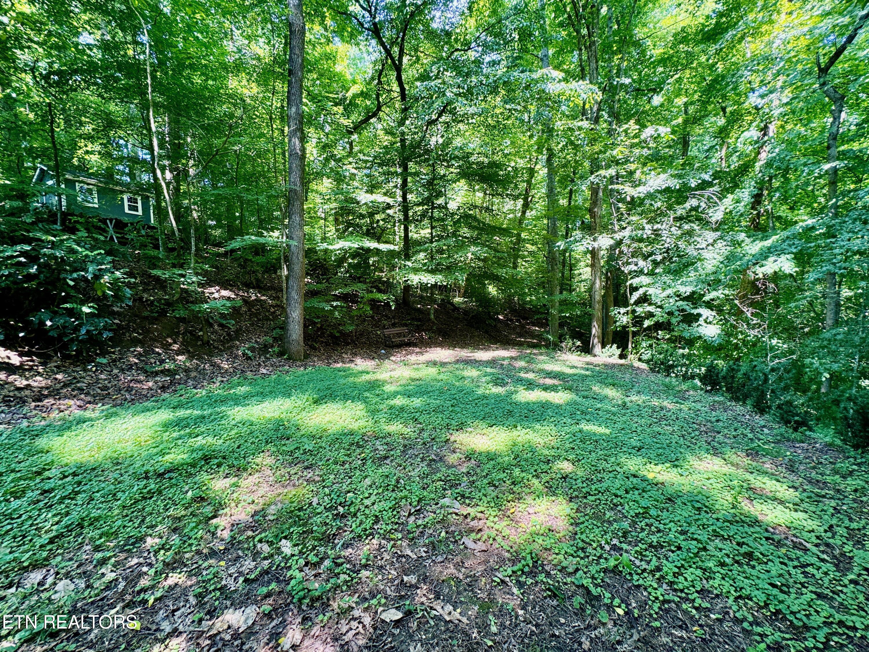 100 Olney Lane Oak Ridge, TN 37830 - Photo 15 of 48 15