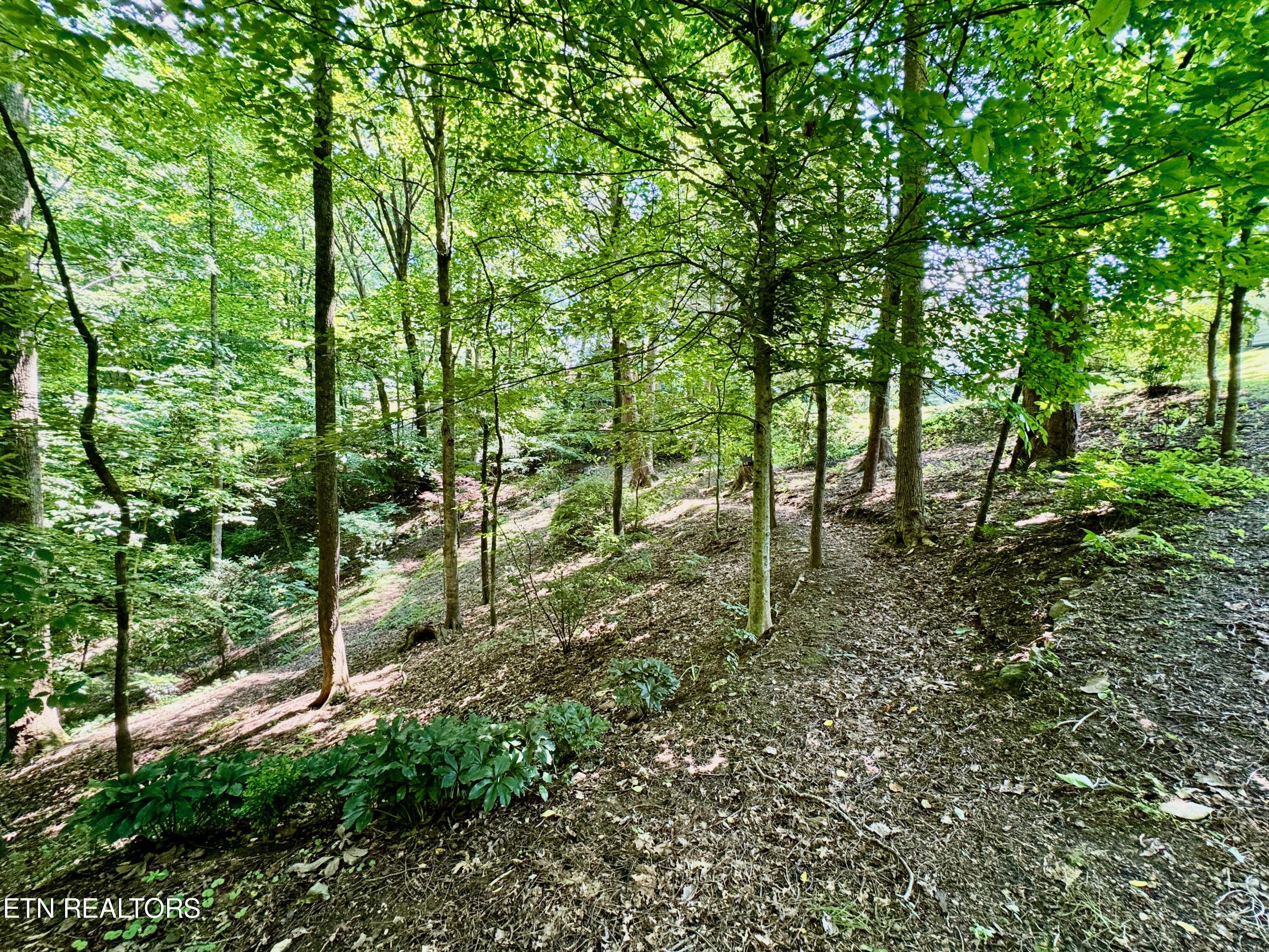 100 Olney Lane Oak Ridge, TN 37830 - Photo 16 of 48 16