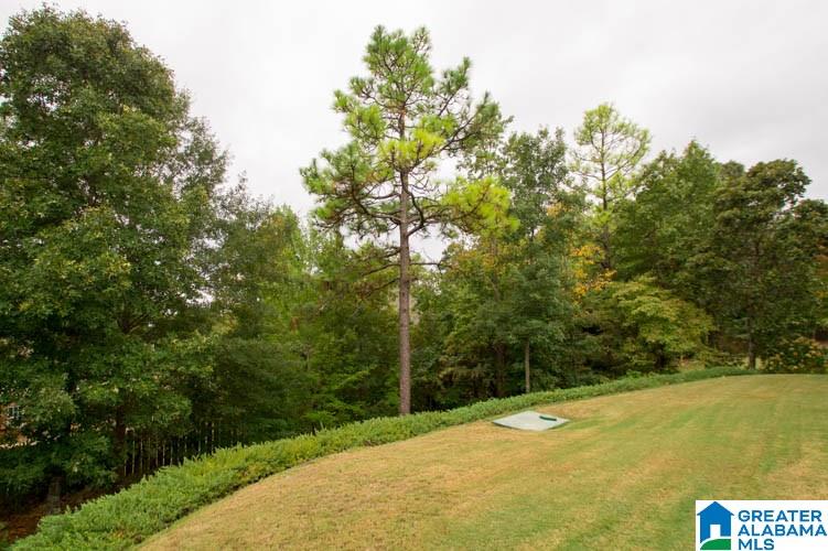 276 Linwood Road Sterrett, AL 35147 - Photo 23 of 24