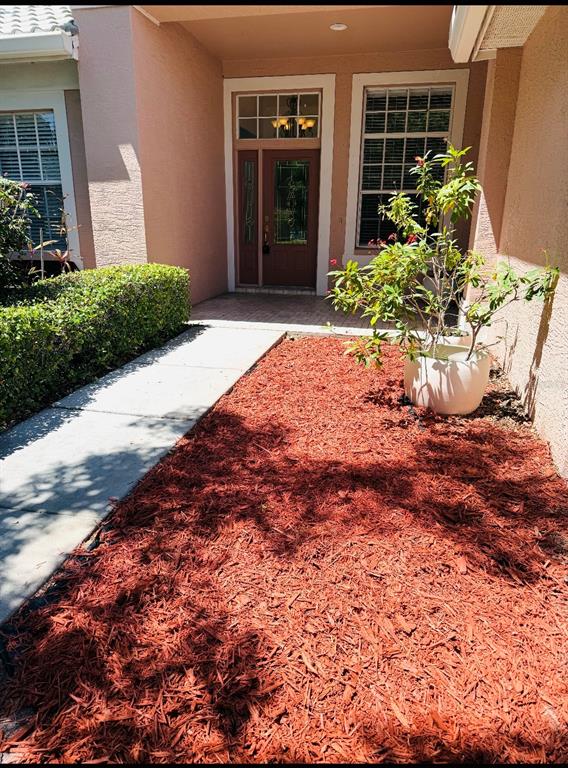 2204 Elizabeth Way Dunedin, FL 34698 - Photo 17 of 19