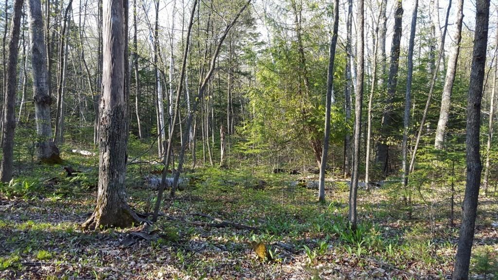 Lot 2 Garrett Bay Road Ellison Bay, WI 54210 - Photo 1 of 1