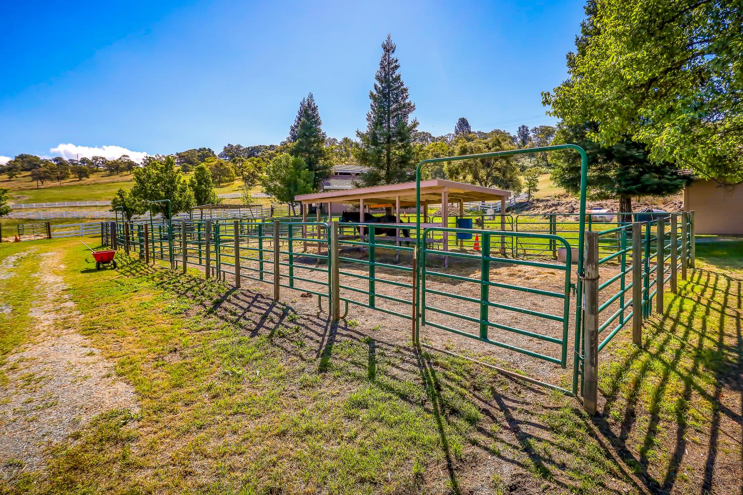 3751 Cosgrove Creek Road Valley Springs, CA 95252 - Photo 76 of 99