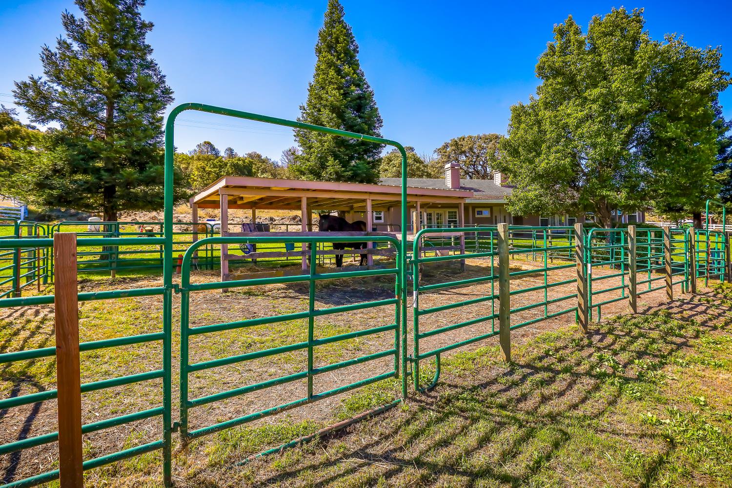 3751 Cosgrove Creek Road Valley Springs, CA 95252 - Photo 77 of 99