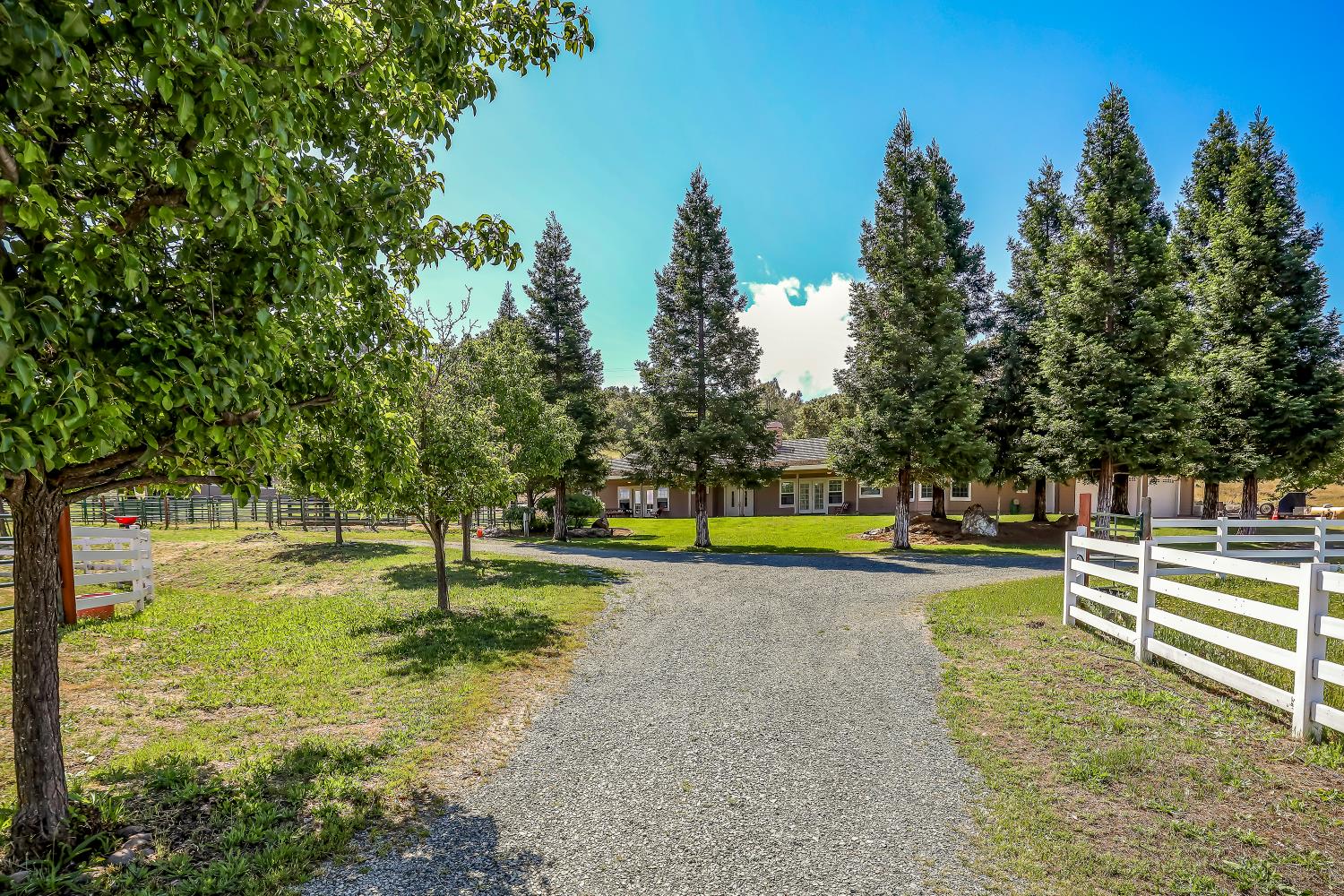 3751 Cosgrove Creek Road Valley Springs, CA 95252 - Photo 87 of 99