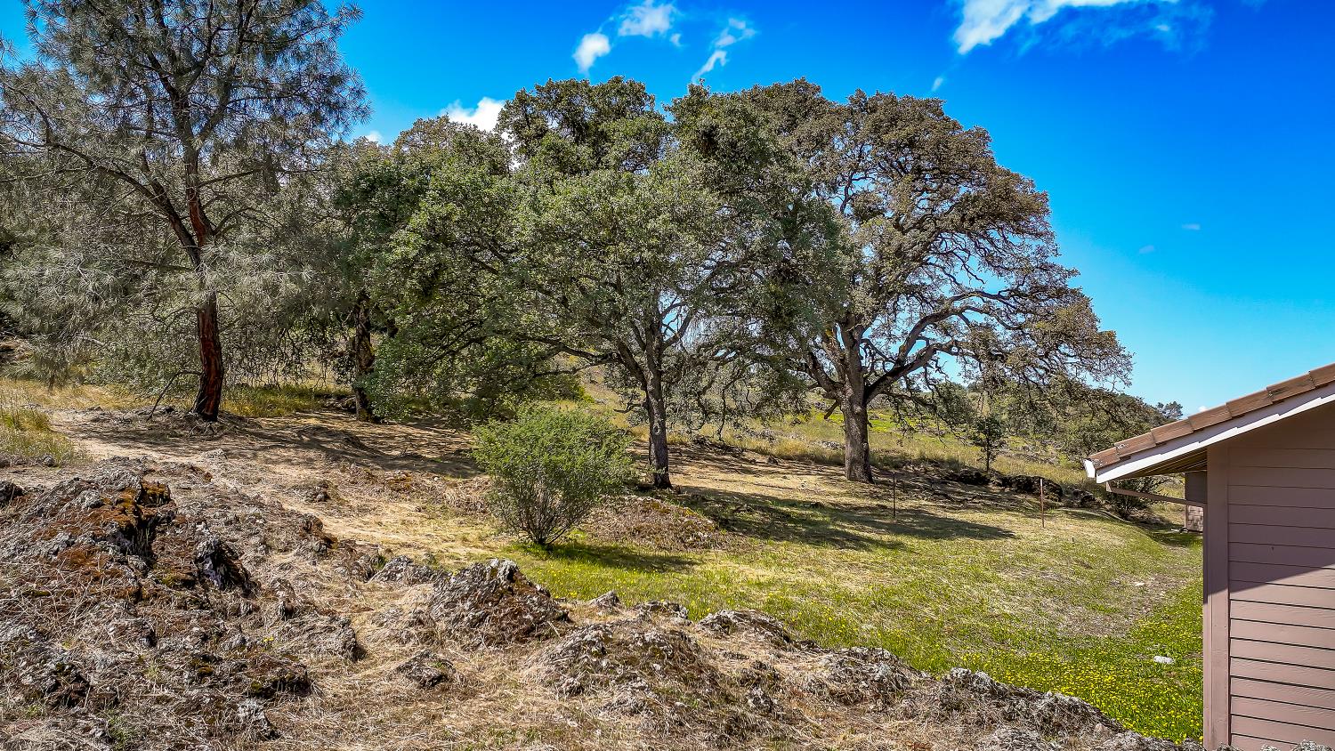 3751 Cosgrove Creek Road Valley Springs, CA 95252 - Photo 97 of 99