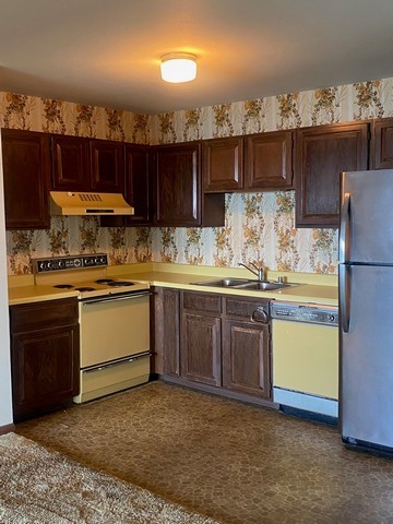 141 South Lakeshore Drive, Unit B1 Racine, WI 53403 - Photo 21 of 26 a kitchen with a sink and cabinets