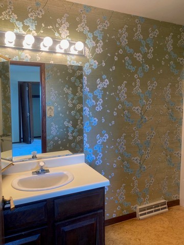 141 South Lakeshore Drive, Unit B1 Racine, WI 53403 - Photo 24 of 26 a bathroom with a sink and a mirror