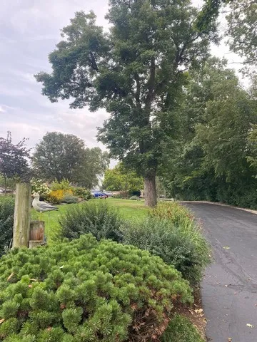 a view of a lake with a yard