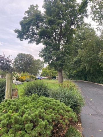 141 South Lakeshore Drive, Unit B1 Racine, WI 53403 - Photo 7 of 26 a view of a lake with a yard