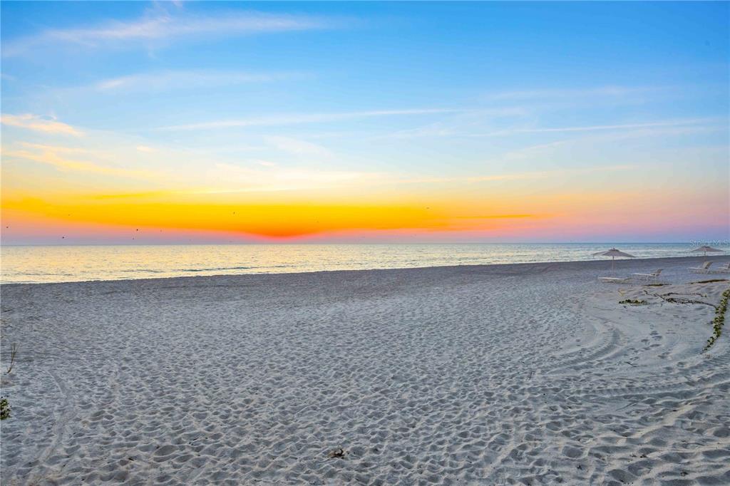 1050 Longboat Club Road, Unit 301 Longboat Key, FL 34228 - Photo 55 of 57 a view of an ocean and beach