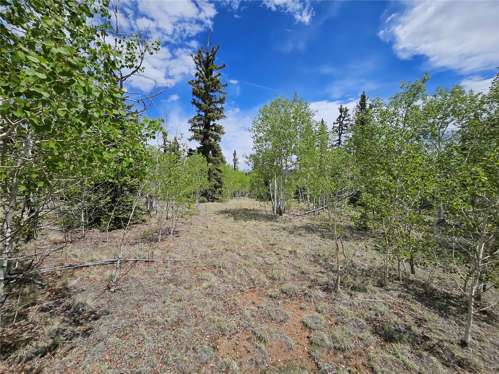 412 Smith And Wesson Road Como, CO 80432 - Photo 19 of 50