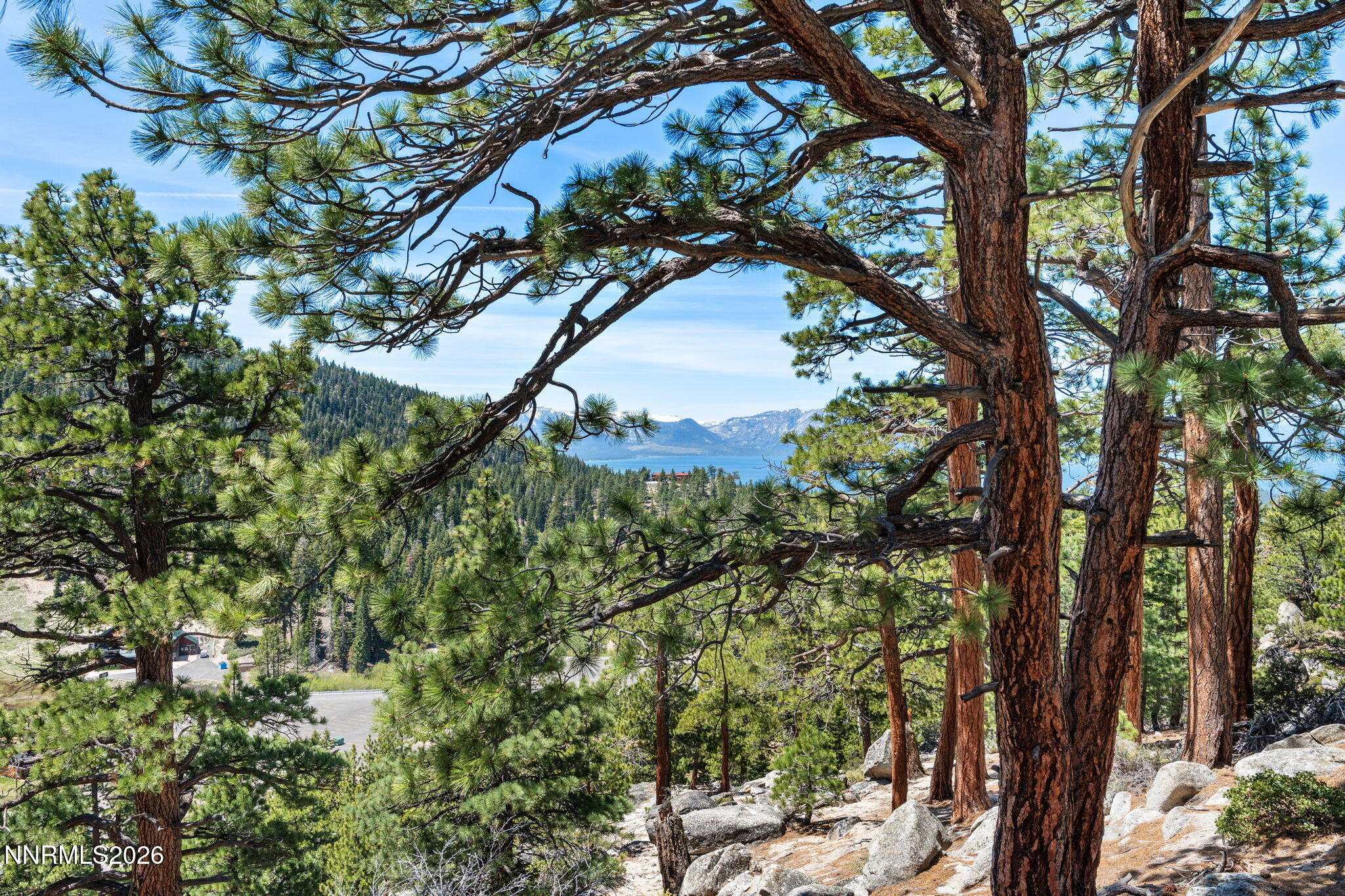 759 Boulder Court, Unit F Stateline, NV 89449 - Photo 26 of 36 a view of a tree in a yard