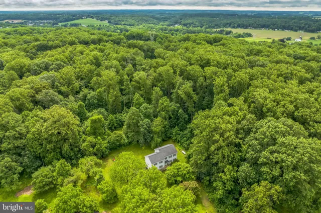 a view of a yard with plants