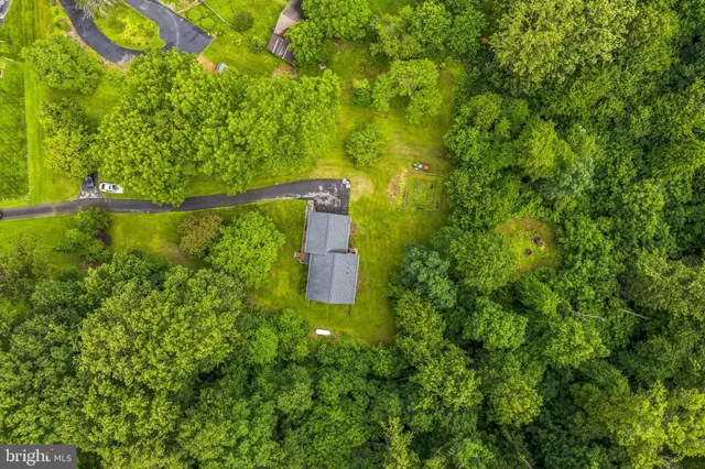 a view of a garden from a lake view
