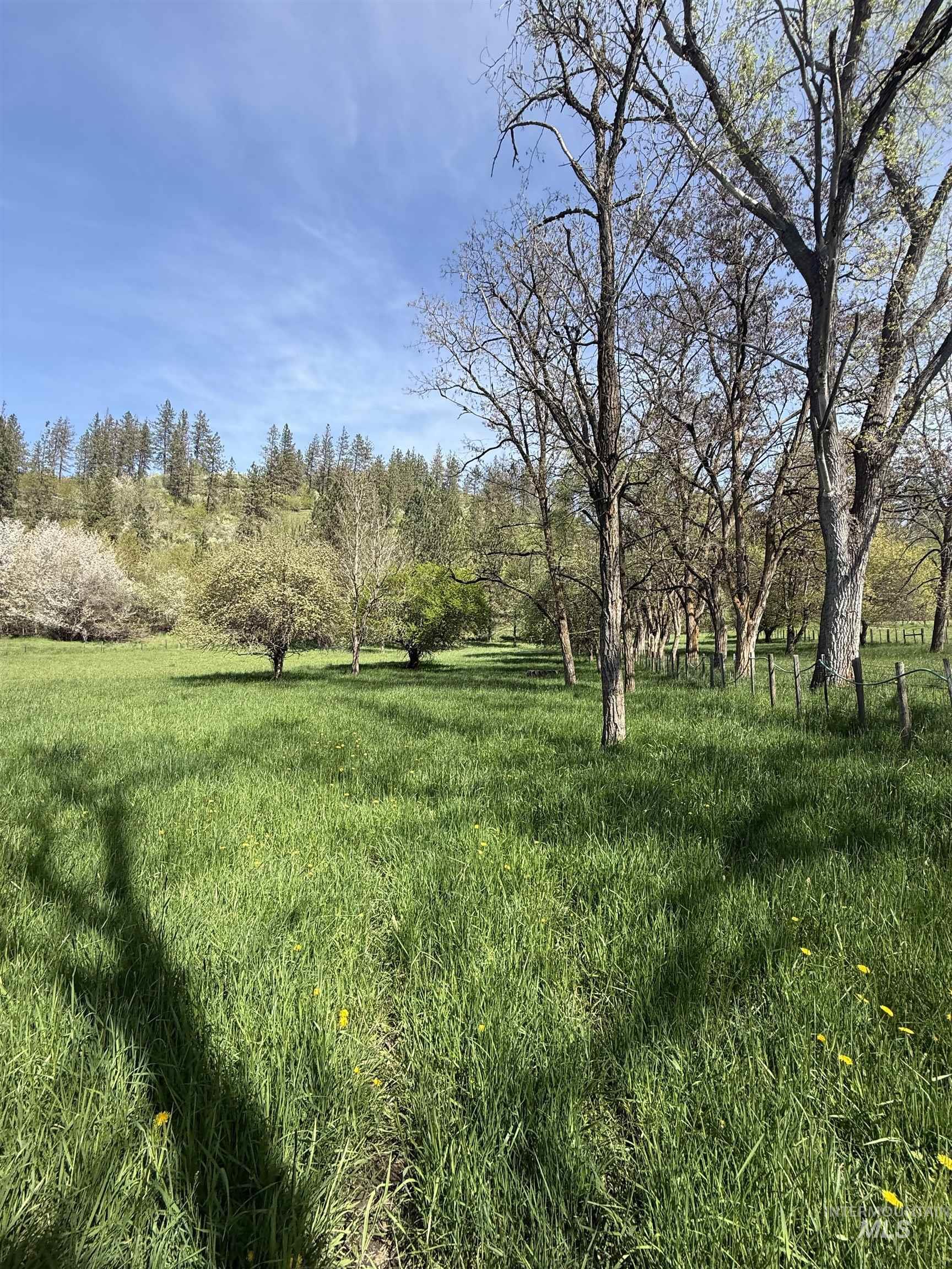 Tbd Cashway Road Kamiah, ID 83536 - Photo 3 of 9 Gallery Image 3
