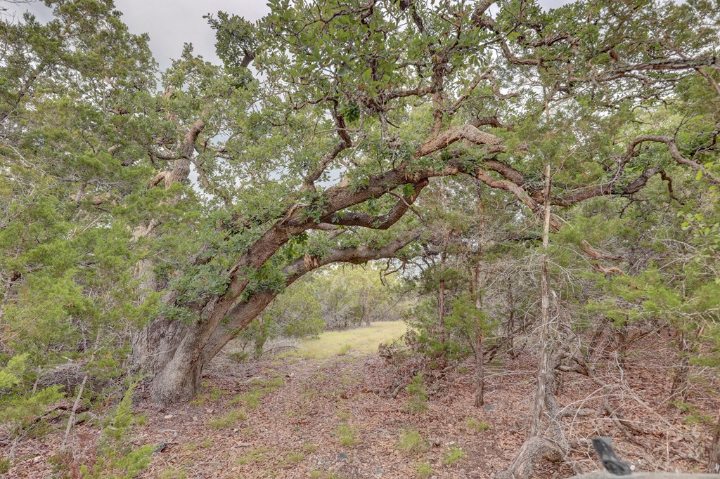 438 Yellowstone Lane Hunt, TX 78024 - Photo 18 of 47