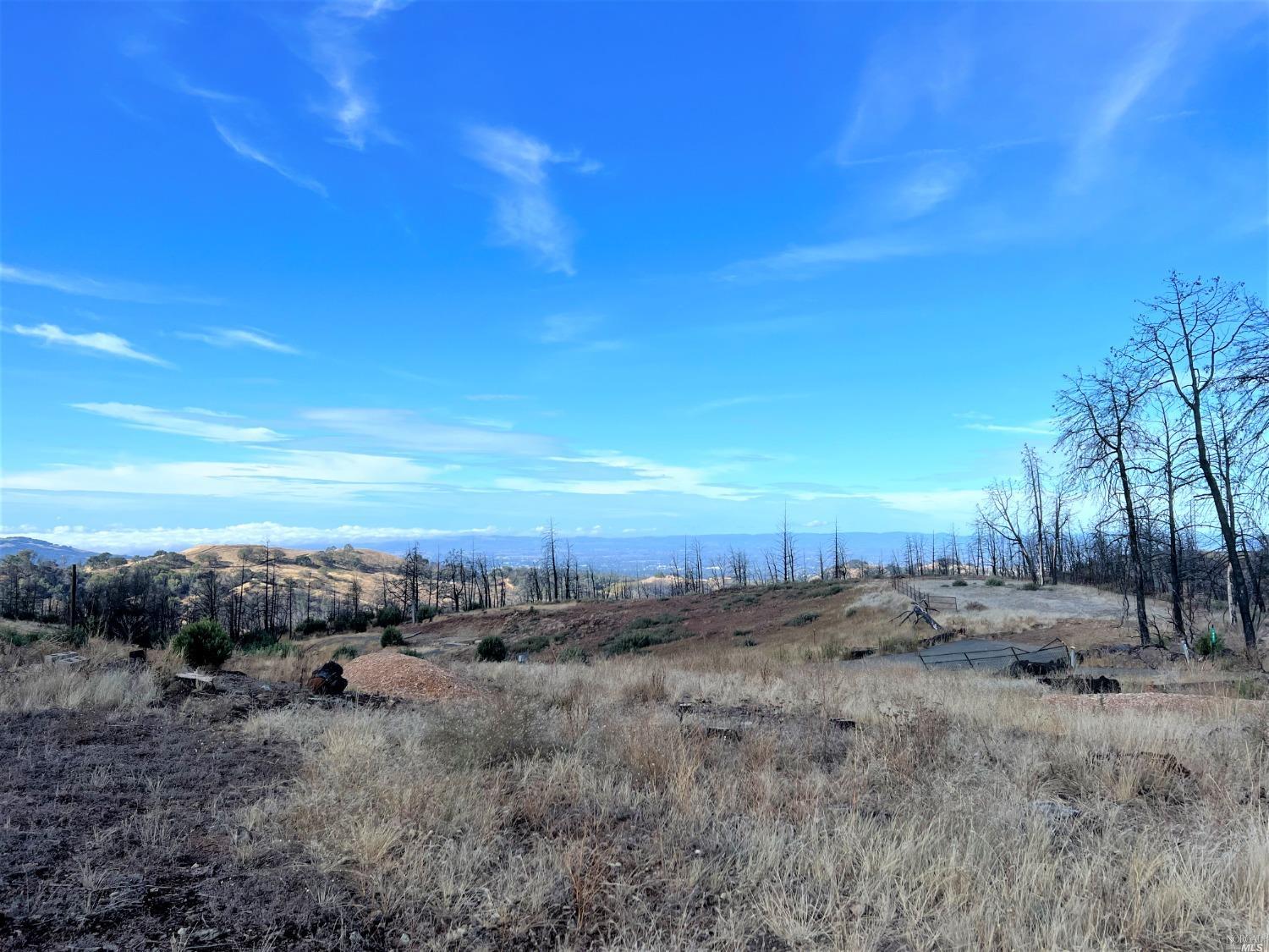 1925 Los Alamos Road Santa Rosa, CA 95409 - Photo 1 of 1 a view of a dry yard with trees