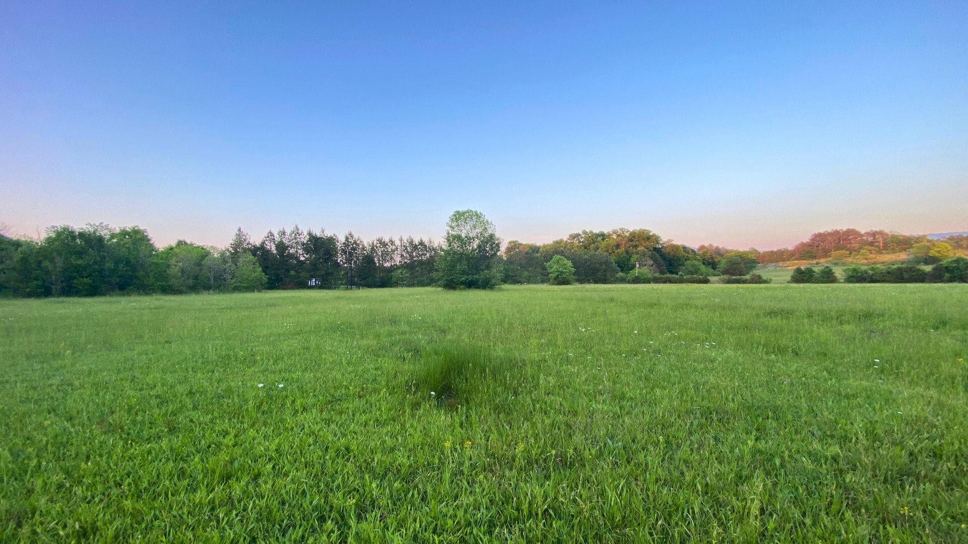 0 Thomas Road Benton, TN 37307 - Photo 2 of 16