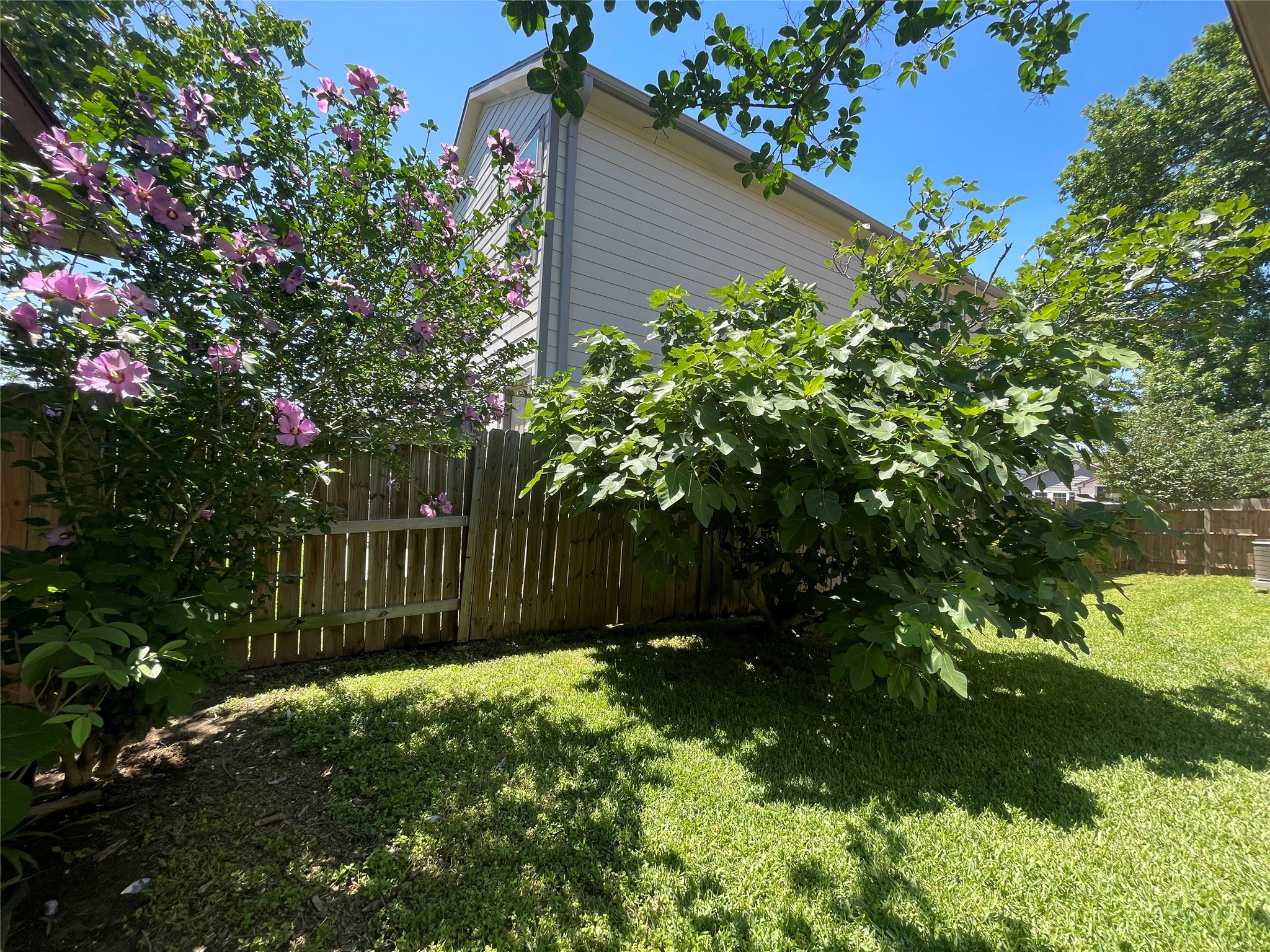 8906 Intervale Street Houston, TX 77075 - Photo 20 of 22