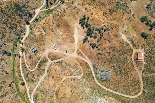 a view of a yard with a tree