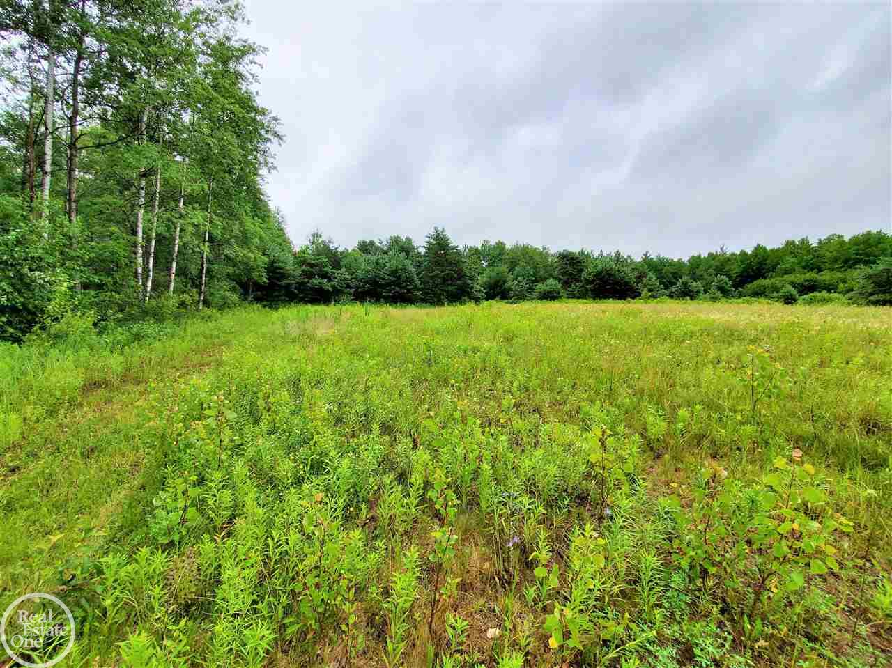 270 East Youngs Road Gladwin, MI 48624 - Photo 59 of 71 50048600-58.JPG