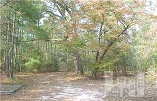 0 Raccoon Hollow Road Atkinson, NC 28421 - Photo 2 of 6 Additional Photo