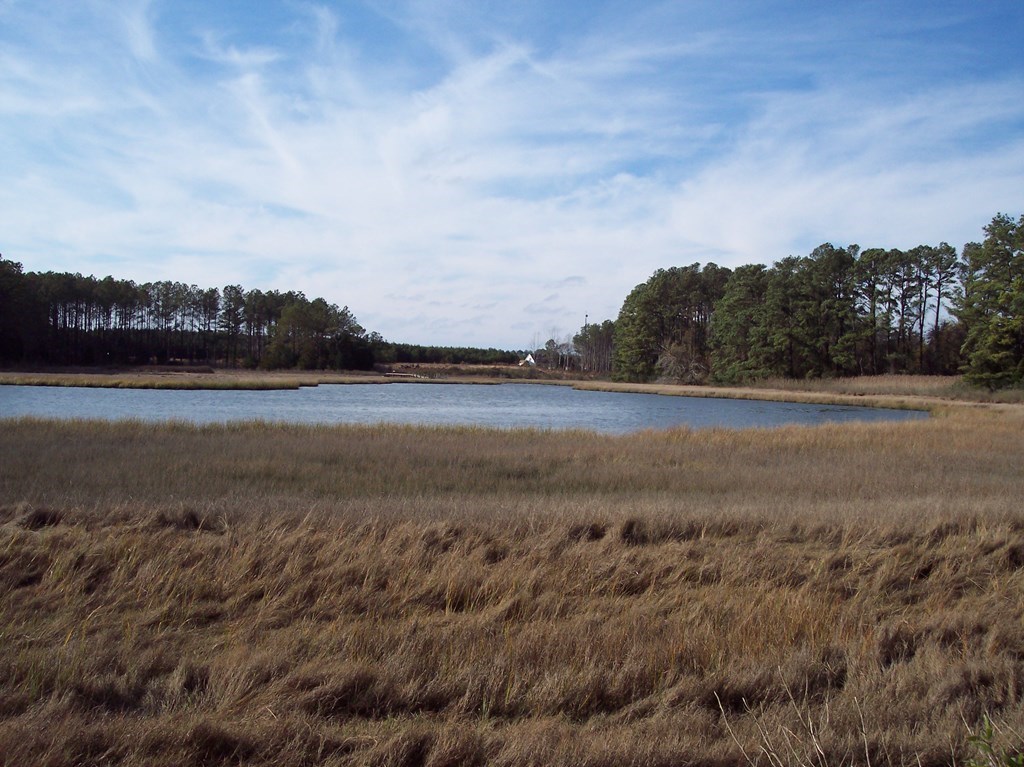 Lot #1 Metompkin Road, Unit 1 Parksley, VA 23421 - Photo 3 of 5