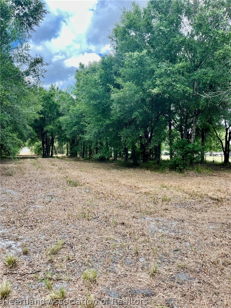 1298 Old Bradenton Road Wauchula, FL 33873 - Photo 3 of 7 a view of yard with trees