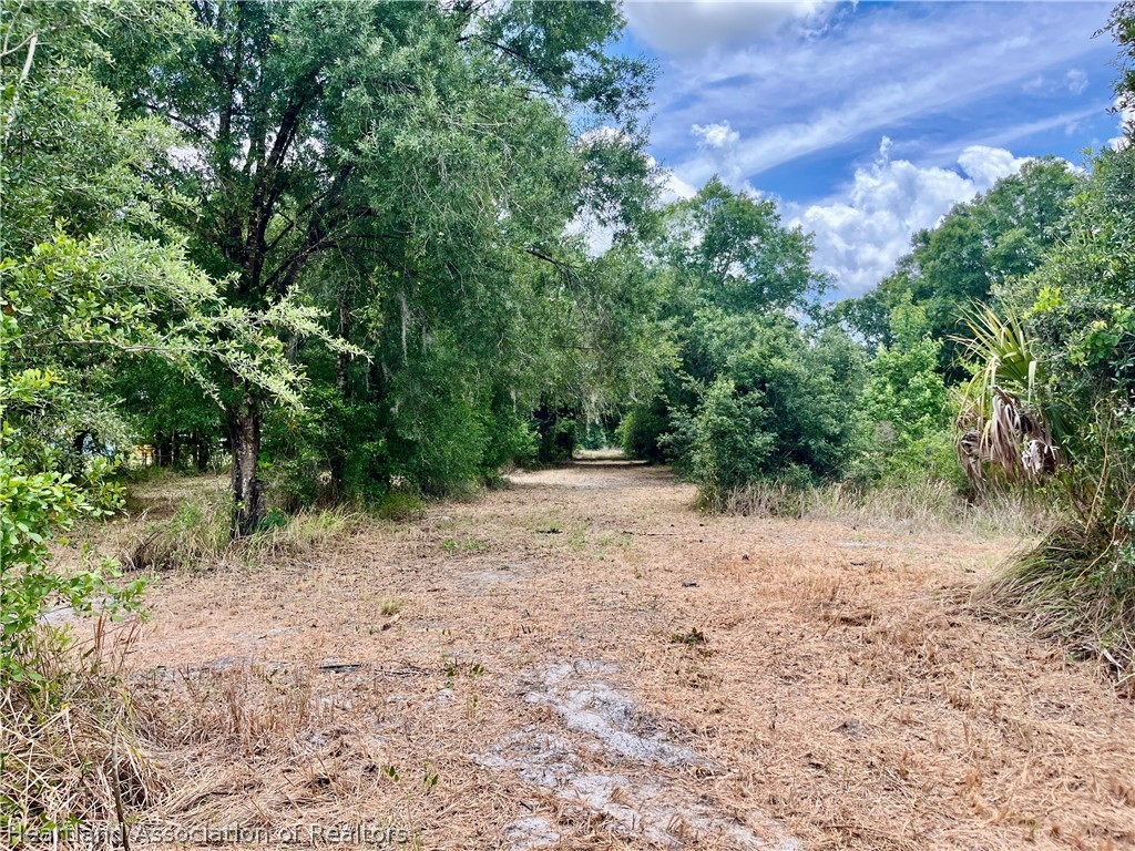 1298 Old Bradenton Road Wauchula, FL 33873 - Photo 7 of 7 a view of a yard with a tree
