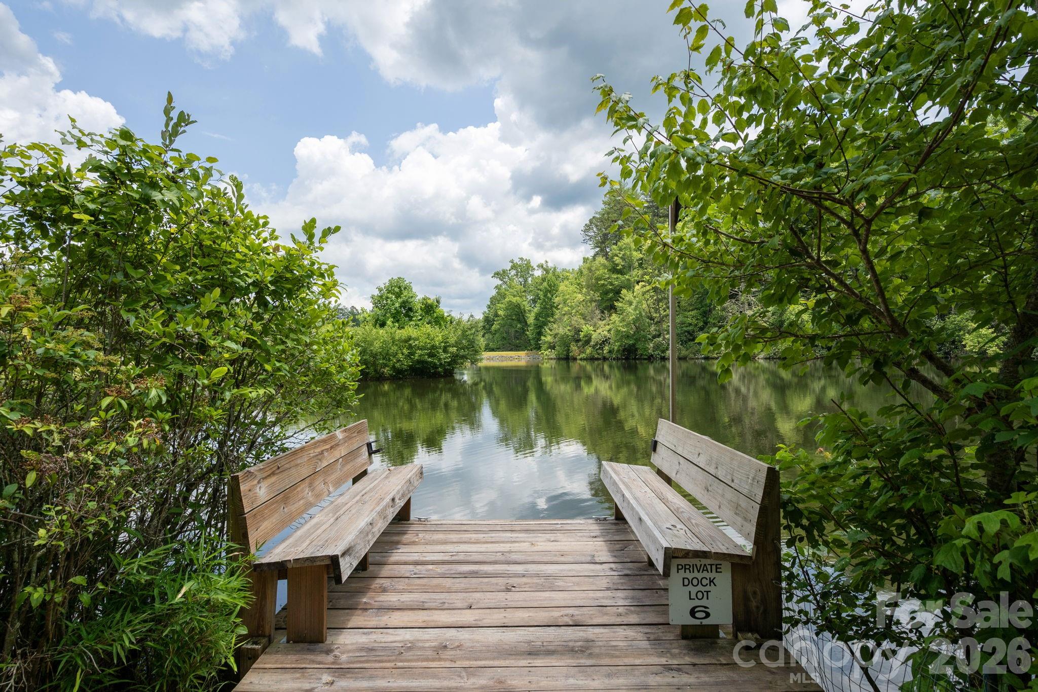 763 Deerlake Road Brevard, NC 28712 - Photo 42 of 48 Gallery Image 42