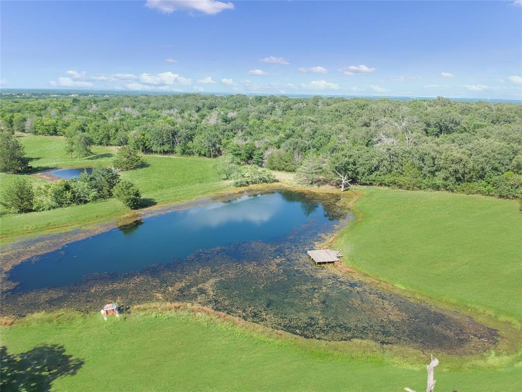 1001 Sandy Ridge Road Scurry, TX 75158 - Photo 2 of 35 Expansive natural landscape featuring a large pond with a wooden dock, surrounded by lush green fields and mature trees