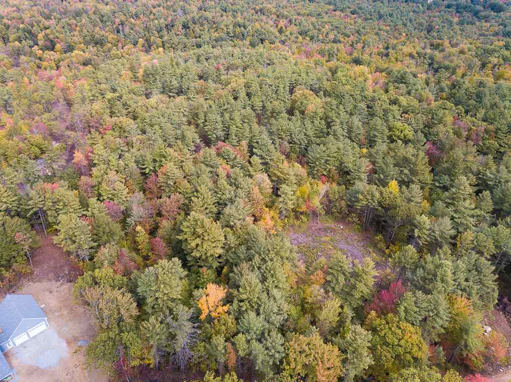 Map J Lot 11-3 Map J Road Mason, NH 03048 - Photo 5 of 13