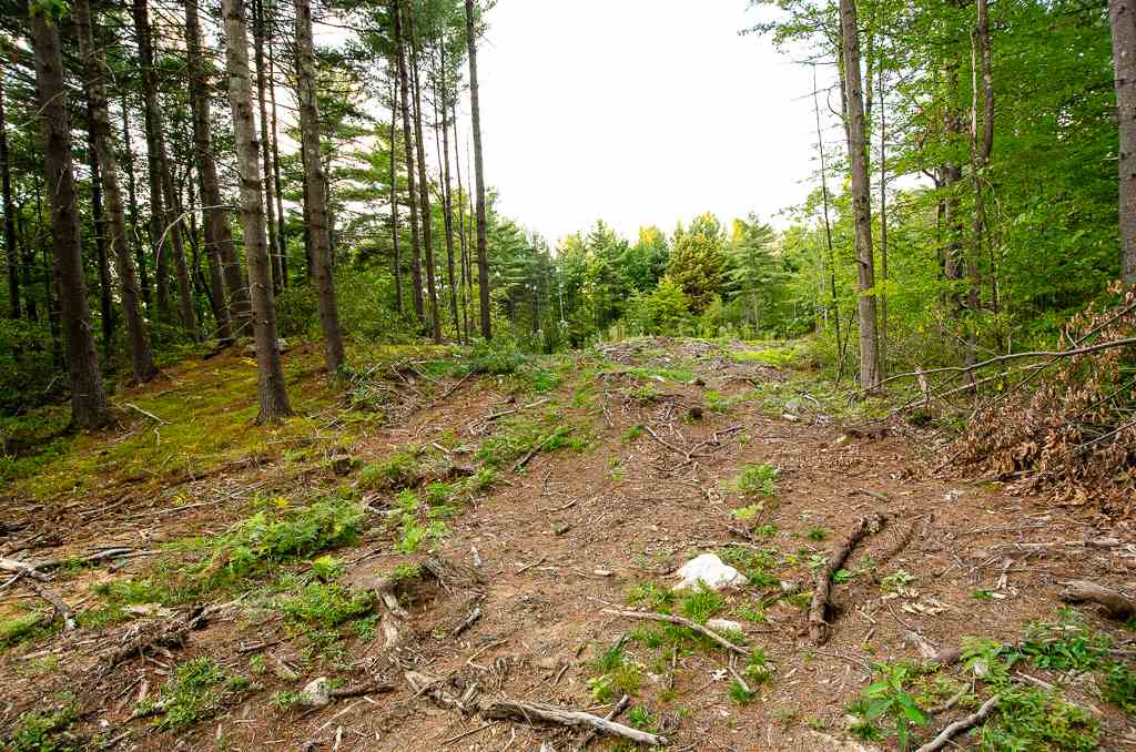 Map J Lot 11-3 Map J Road Mason, NH 03048 - Photo 10 of 13
