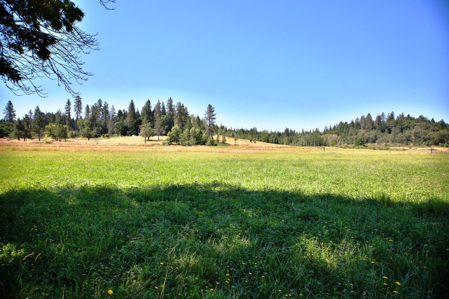 1300 Rounds Avenue Grants Pass, OR 97527 - Photo 24 of 25 Great view of the hay field.