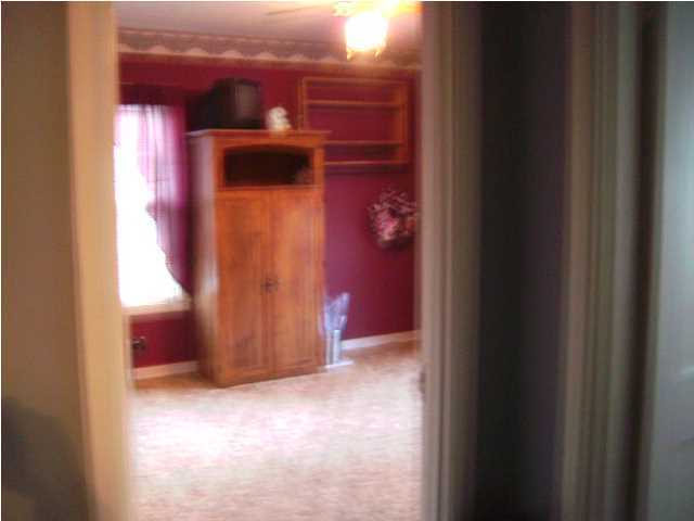 530 Cemetery Road Spring City, TN 37381 - Photo 10 of 26 Additional Photo